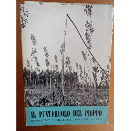 Il punteruolo del pioppo
