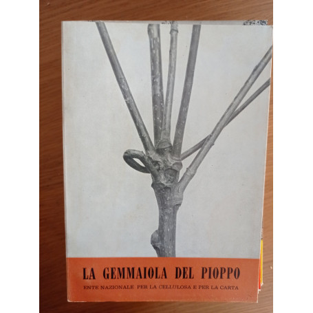 La gemmaiola del pioppo