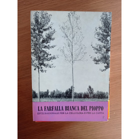 La farfalla bianca del pioppo