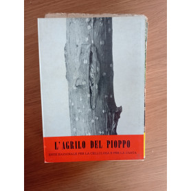 L' agrilo del pioppo