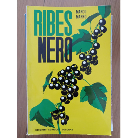 Ribes nero
