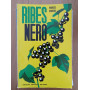 Ribes nero