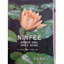 NINFEE bianchi gigli delle acque