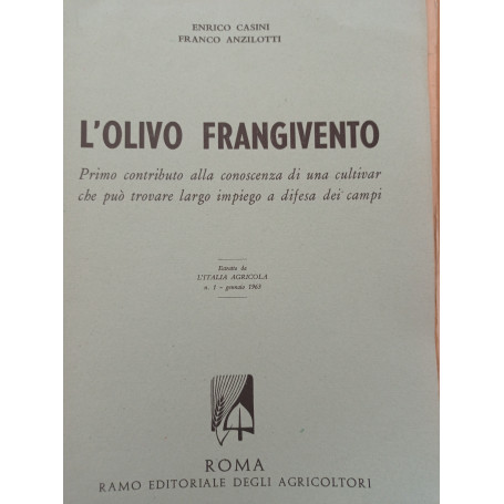 L' olivo frangivento