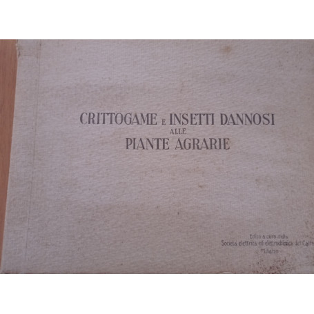 Crittogame e insetti dannosi alle piante agrarie