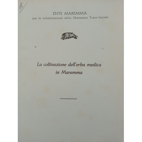 La coltivazione dell'erba medica in Maremma
