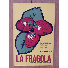 La fragola