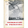 Fotografare in primavera