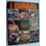I FUNGHI- Cercarli