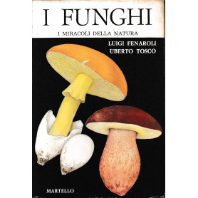 I funghi