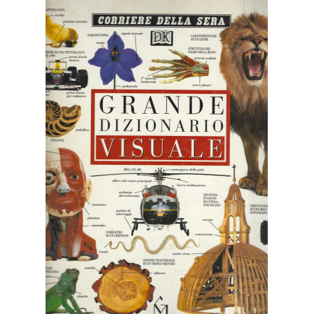 GRANDE DIZIONARIO VISUALE