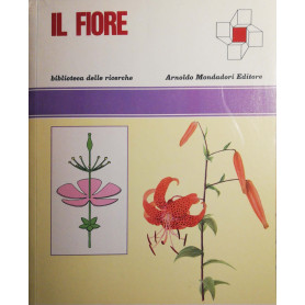 Il Fiore