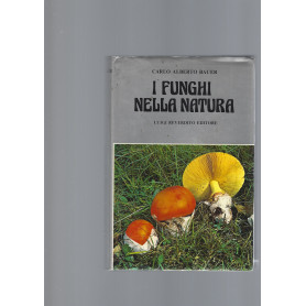 I FUNGHI NELLA NATURA