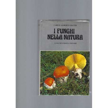 I FUNGHI NELLA NATURA