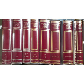 Treccani - il vocabolario della lingua italiana (8 volumi)