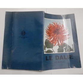 Le dalie (Le dahlie)