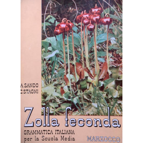 Zolla Feconda. Grammatica italiana per la scuola media