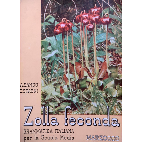 Zolla Feconda. Grammatica italiana per la scuola media