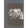 Il cinema di Costa-Gavras. Processo alla storia