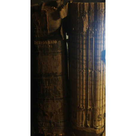 Nòvo dizionario universale della lingua italiana Vol I eII