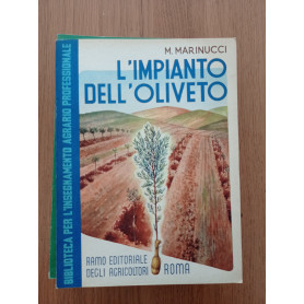 L' impianto dell'oliveto