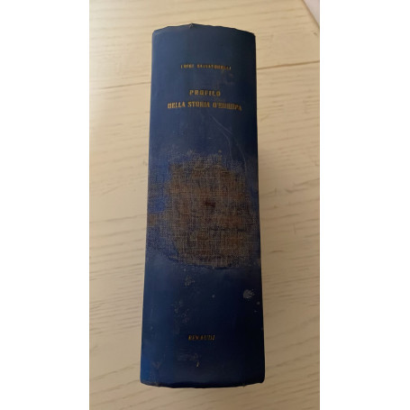 Profilo Della Storia D'Europa