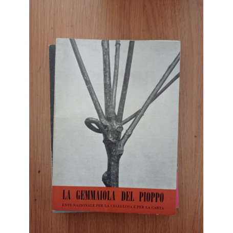 La gemmaiola del pioppo