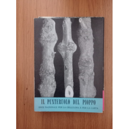 Il punteruolo del pioppo