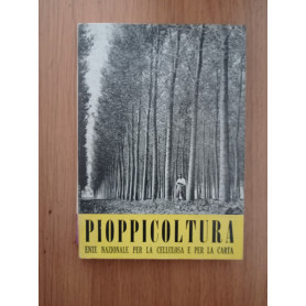 Pioppocoltura