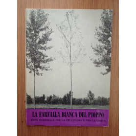 La farfalla bianca del pioppo
