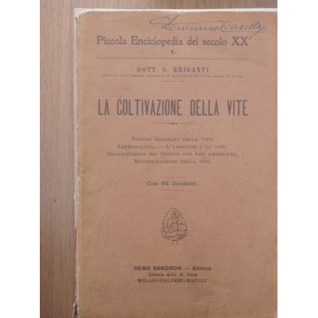 La coltivazione della vite