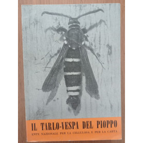 Il tarlo - vespa del pioppo