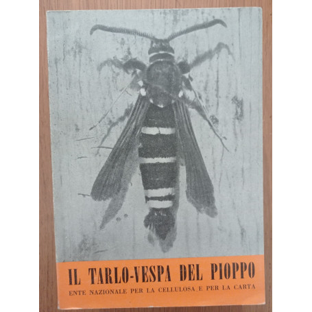 Il tarlo - vespa del pioppo