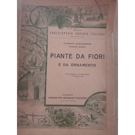 Piante da fiori e da ornamento
