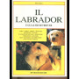 Il labrador e gli altri retriever