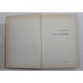 Che cos'è l'archeologia