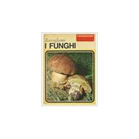 Raccogliamo i funghi