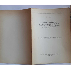 Ancora a proposito di raffigurazioni di ananas mango e annona squamosa in dipinti pompeiani Vol. XII N.9-10
