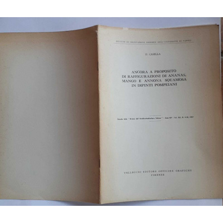 Ancora a proposito di raffigurazioni di ananas mango e annona squamosa in dipinti pompeiani Vol. XII N.9-10