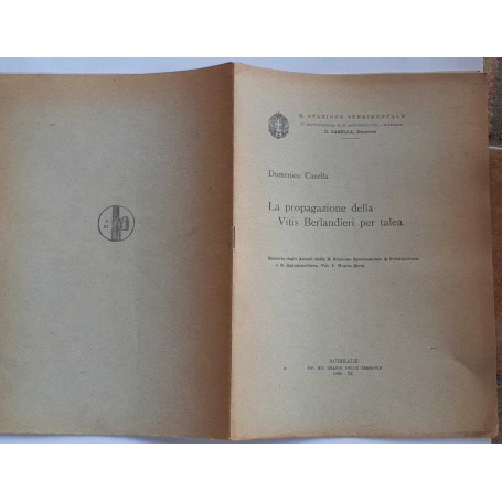 La propagazione della Vitis Berlandieri per talea. Vol. 1 Nuova serie