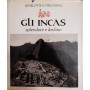 Gli Incas. Splendore e declino