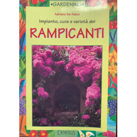 Impianto cura e varietà dei rampicanti