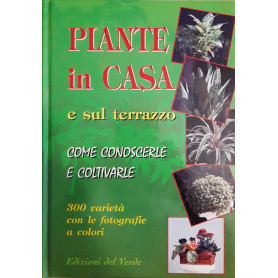 Piante in casa e sul terrazzo. Come conoscerle e coltivarle