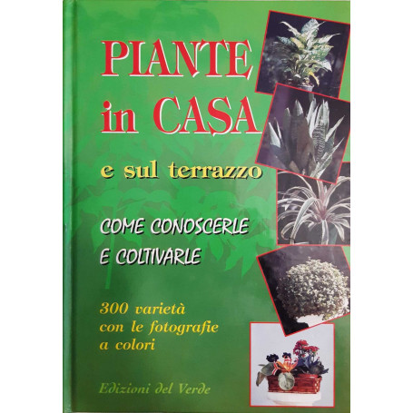 Piante in casa e sul terrazzo. Come conoscerle e coltivarle
