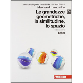 Manuale di matematica Mod P plus Grandezze geometriche similitudini spazio Per Scuole superiori Con espansione online