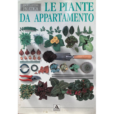 Le piante da appartamento