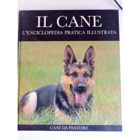 Cani da pastore