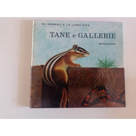 Tane e gallerie