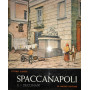 Spaccanapoli e i decumani