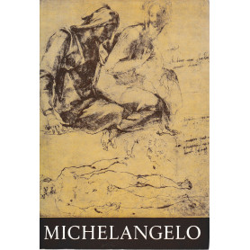 Michelangelo